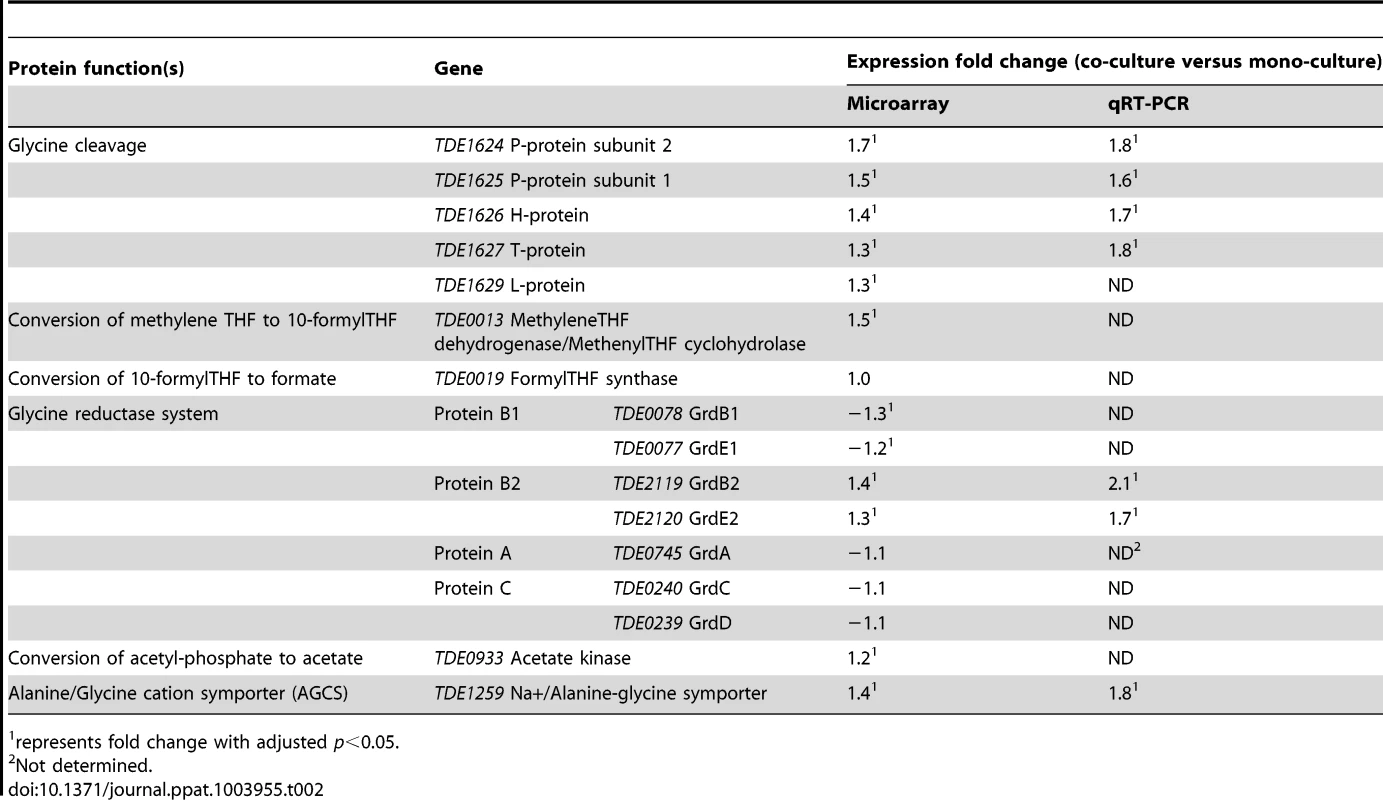 Expression of <i>T. denticola</i> genes encoding enzymes involved in glycine or glycine-related metabolism during co-culture with <i>P. gingivalis</i>.
