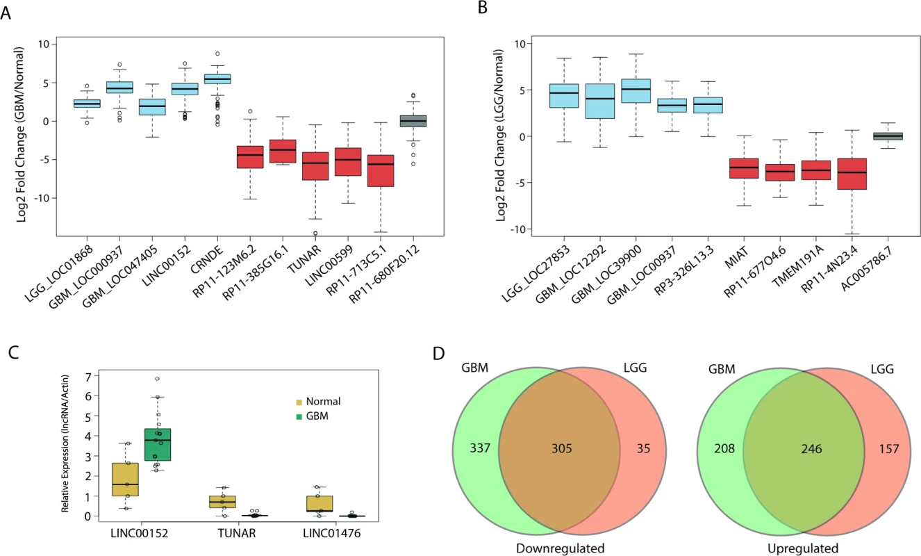 Large alterations in lncRNA expression in glial tumors.