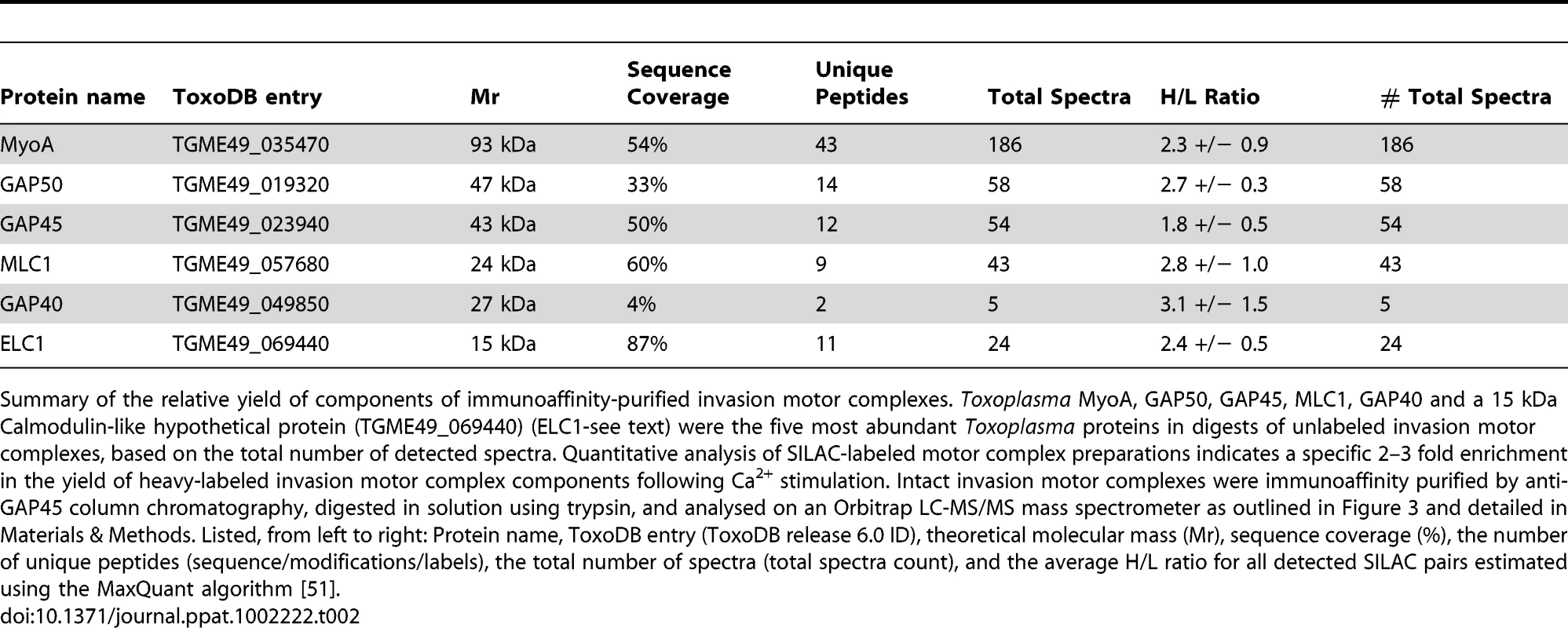 Quantitative assessment of invasion motor complex components.