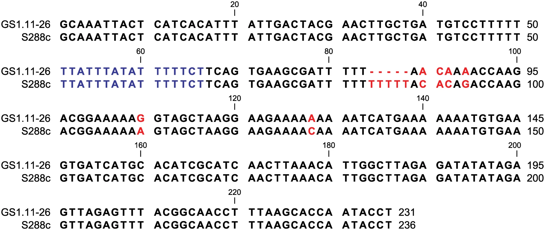 ARS1529 sequence comparison between the evolved strain GS1.11–26 and the sequence in the reference strain S288c.