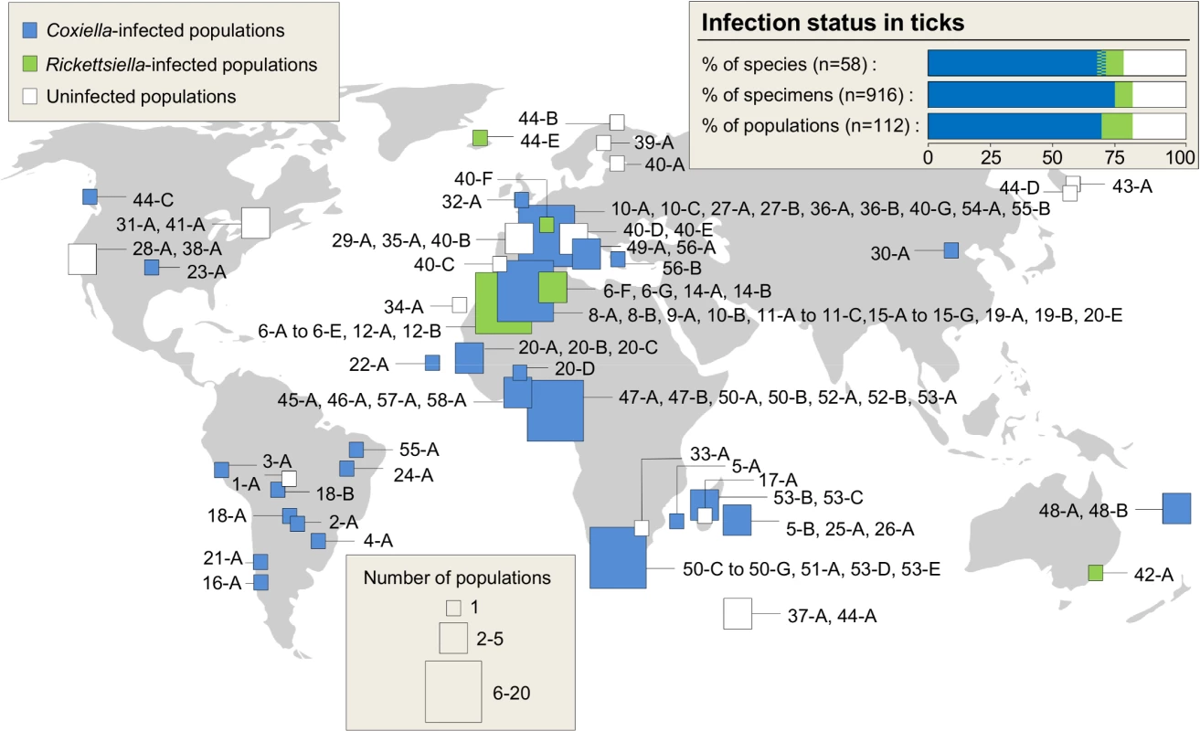 Geographic origin of the sampled ticks and distribution of <i>Coxiella</i> and <i>Rickettsiella</i> infections.