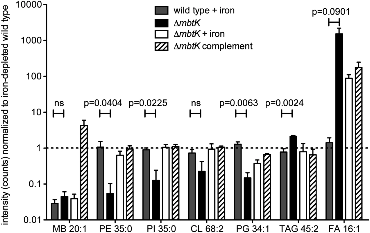 <i>mbtK</i> deletion decreases phospholipid abundance during iron starvation.