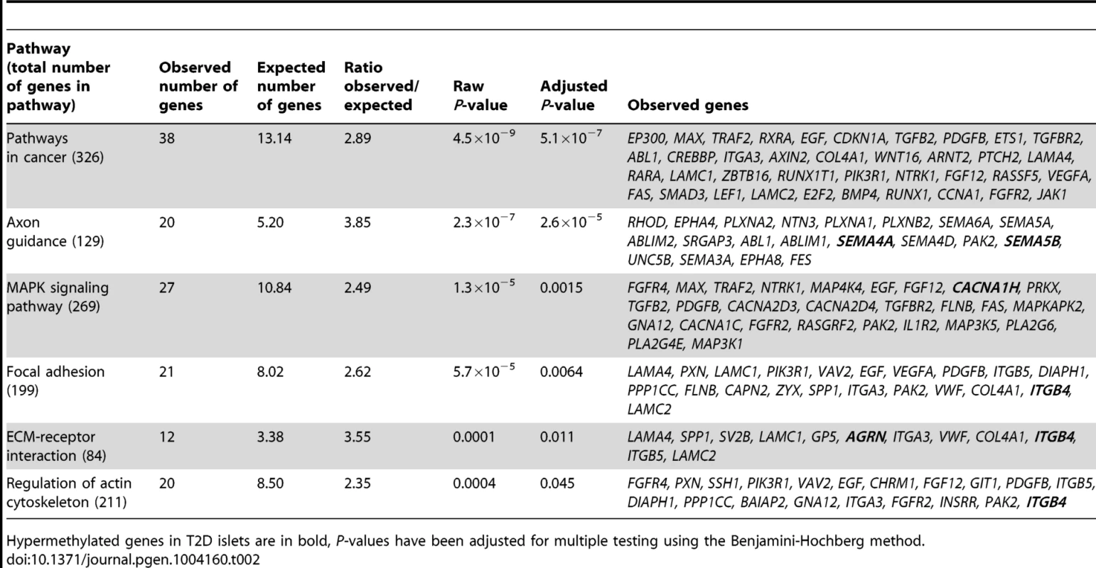 KEGG pathways with enrichment of genes that exhibit differential DNA methylation in pancreatic islets of 34 non-diabetic compared with 15 T2D donors.