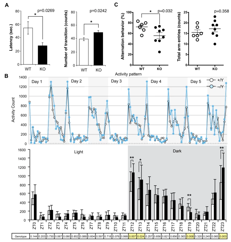 Abnormal behavior in the <i>Sirh11/Zcchc16</i> KO mice.