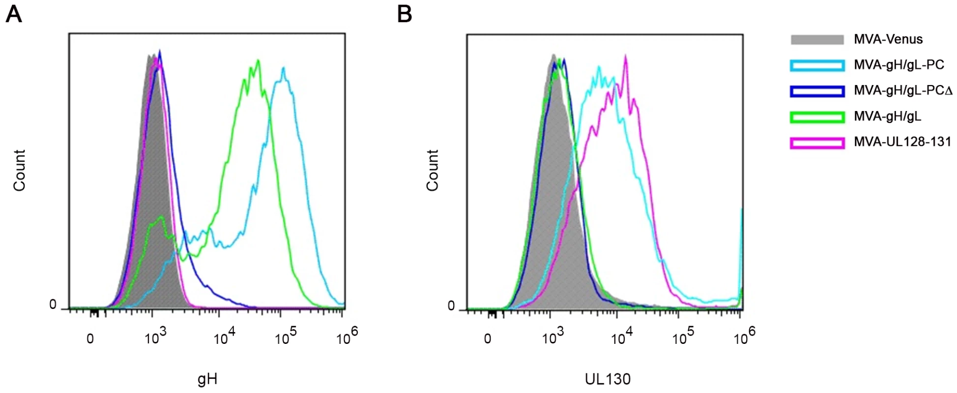 Cell surface detection of gH and UL130 expressed from MVA recombinants.