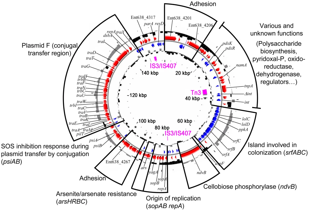 Circular representation of the <i>Enterobacter</i> sp. 638 plasmid pENT638-1.