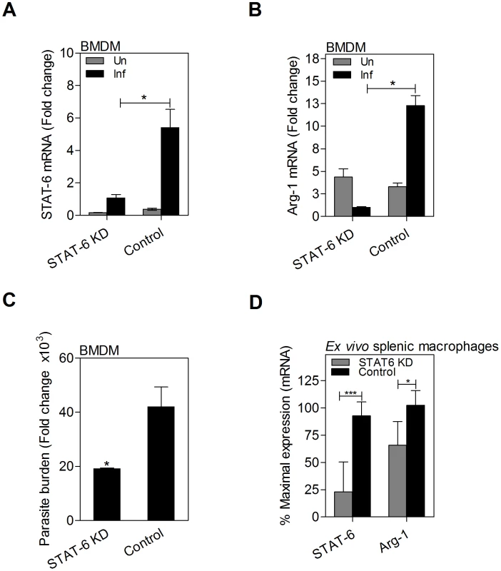 Parasite-induced arg1 expression in macrophages is dependent on STAT6.