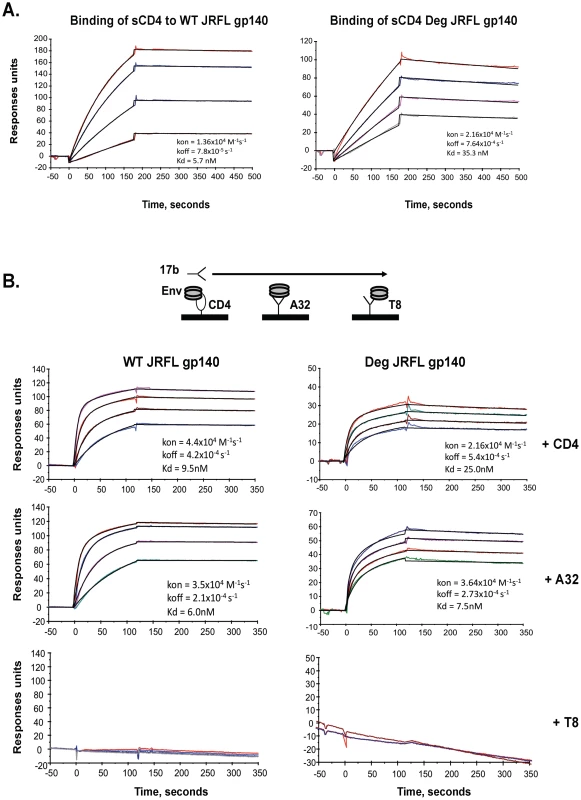 Analysis of antigenic epitopes expressed on WT glycosylated and deglycosylated JRFL gp140 by surface plasmon resonance (SRP).