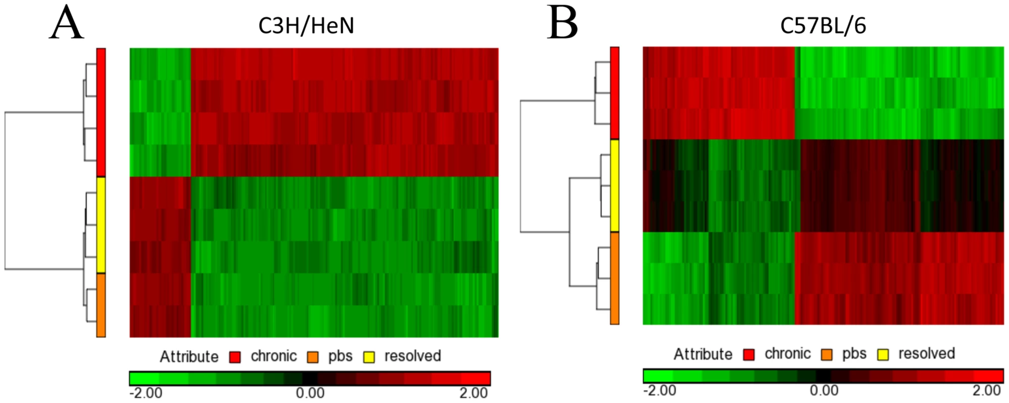 Microarray gene changes for C3H/HeN and C57BL/6J bladders.
