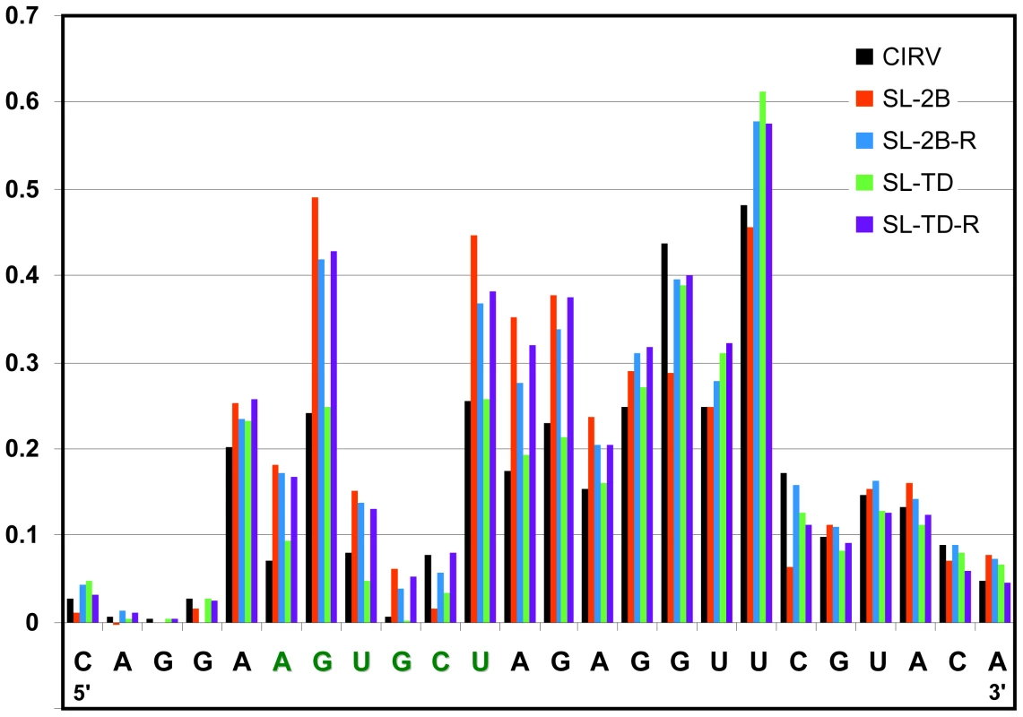 SHAPE analysis of the PRTE in viral genomes containing substitutions in RIV.