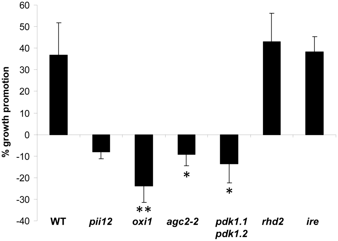 <i>P. indica</i>-mediated increase in fresh weight (%) of wild-type (WT) and mutant plants.