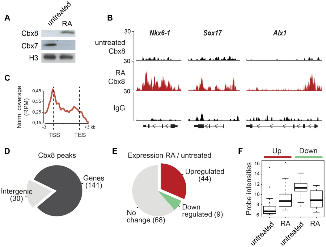 Cbx8 is upregulated and recruited to activated genes during ES cell differentiation.