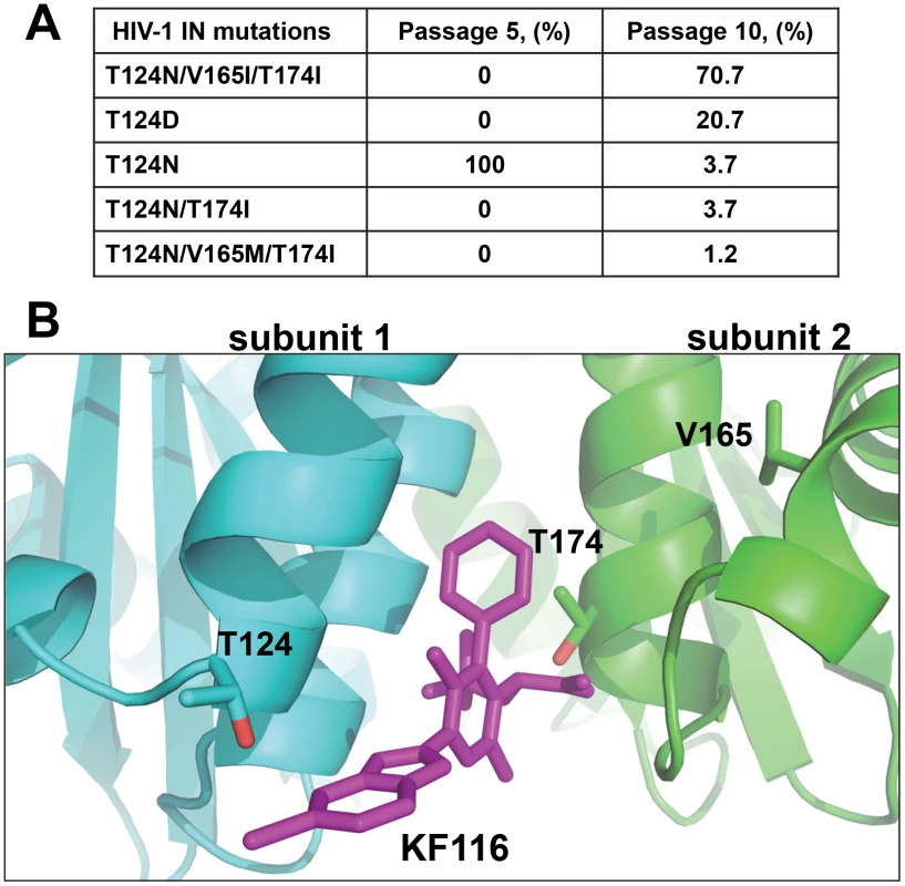Genotype of HIV-1 variants selected in cell culture in the presence of KF116.