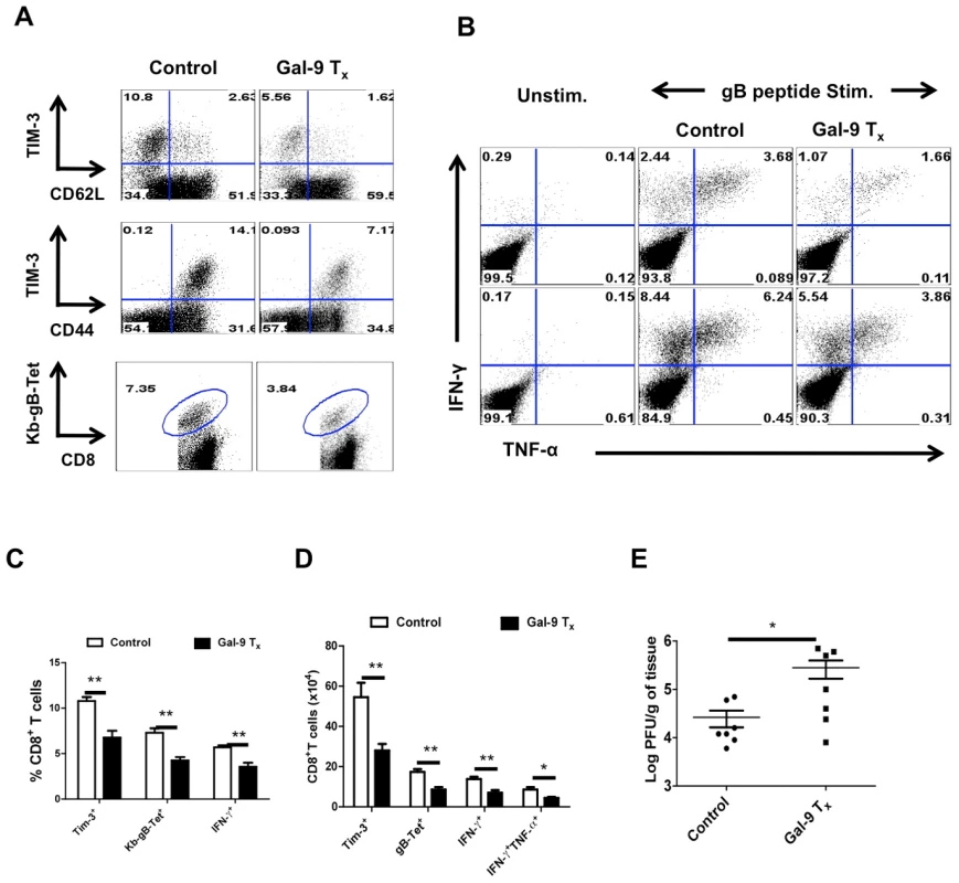 Administration of galectin-9 during the expansion phase after HSV infection diminishes the magnitude of virus-specific CD8<sup>+</sup> T cell responses.