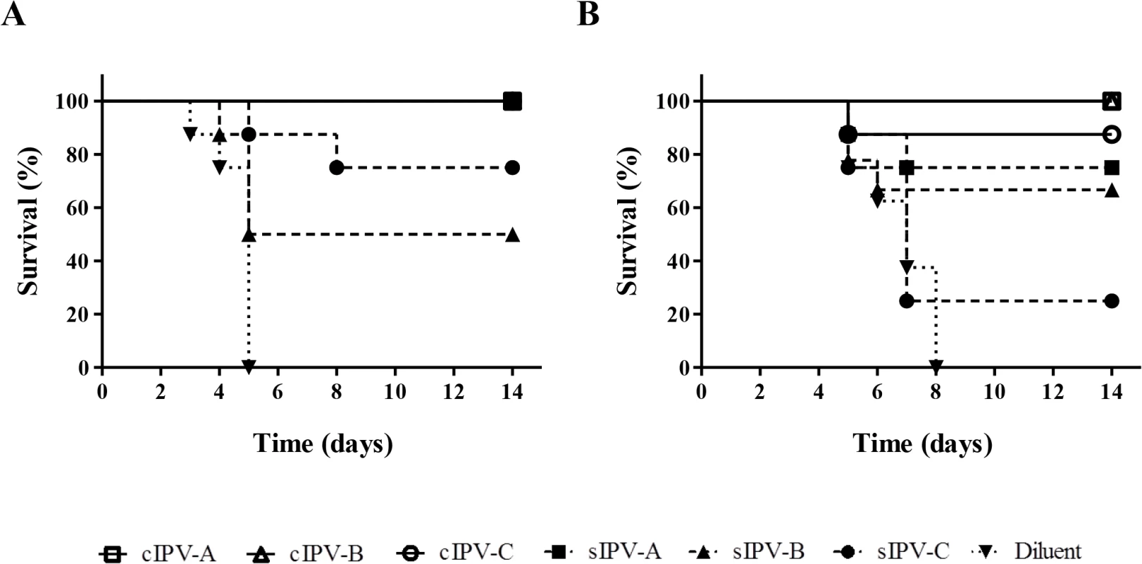 Survival curve analysis of Tg21-bx mice immunised with IPV and challenged with paralytic doses of poliovirus.