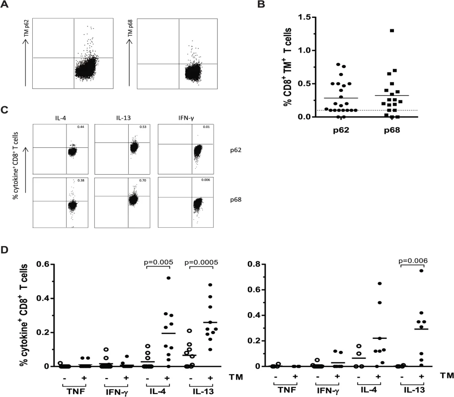 CD8<sup>+</sup> T-cells from TB patients bind HLA-E/ peptide tetramers and produce Th2 cytokines following peptide stimulation.