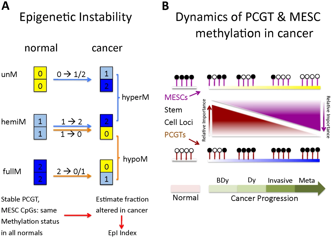 Definition of epigenetic instability indices and dynamics of PCGT and MESC methylation in cancer.