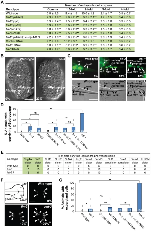 <i>lin-3</i> and <i>let-23</i> promote specific PCDs in <i>C. elegans</i>.