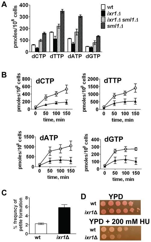 Deletion of <i>IXR1</i> leads to decreased dNTP levels.