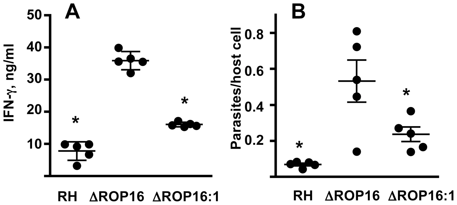 ΔROP16 infection induces high-level IFN-γ production in spleen.
