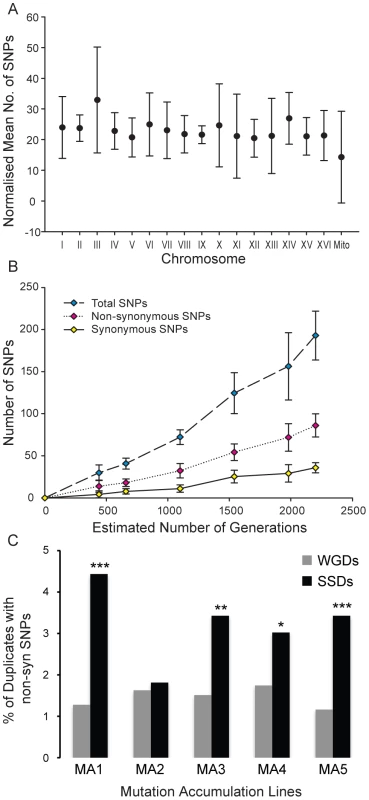 Distribution of single nucleotide polymorphisms in a mutation-accumulation experiment.