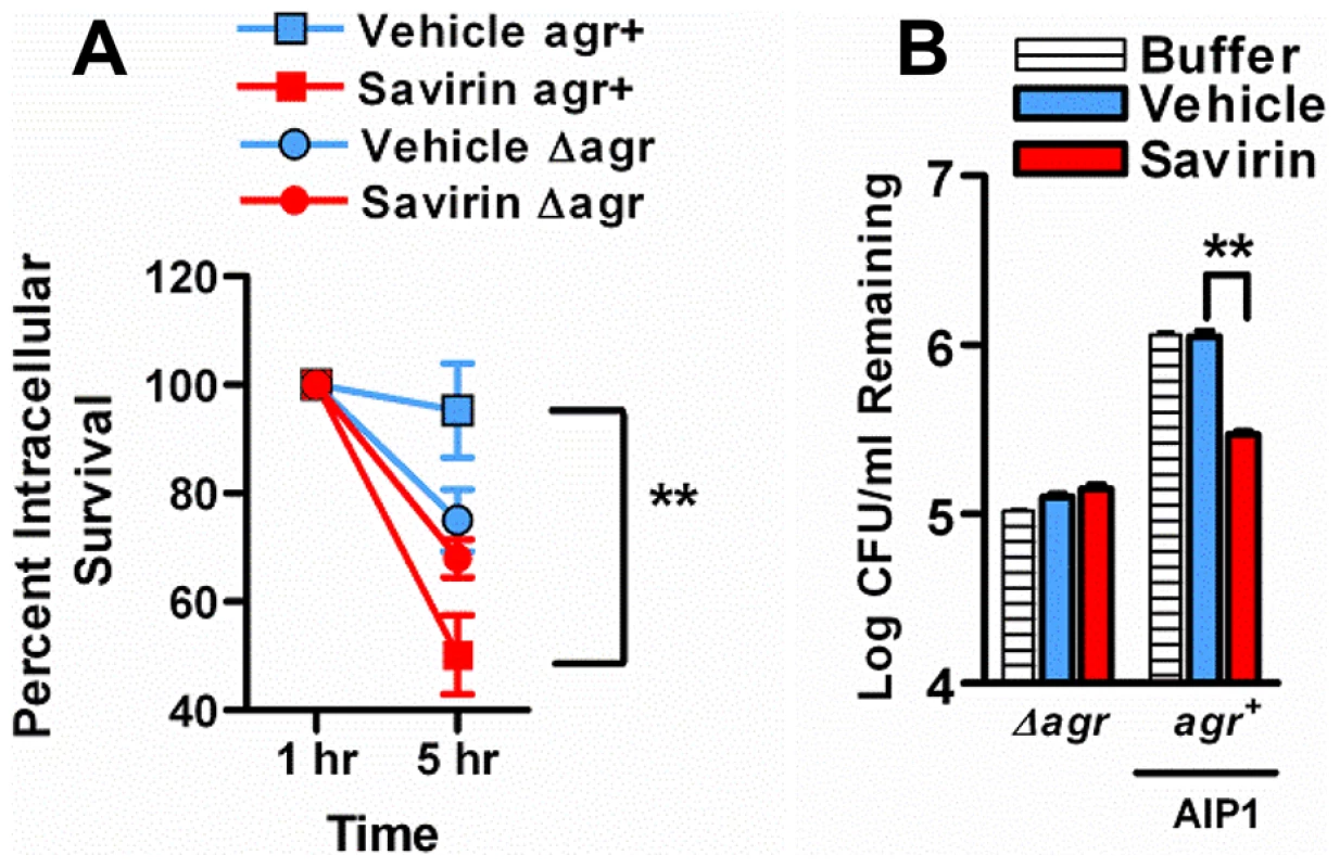 Effect of savirin treatment on <i>in vitro</i> host-dependent killing of LAC <i>agr</i>+ and Δ<i>agr</i>.