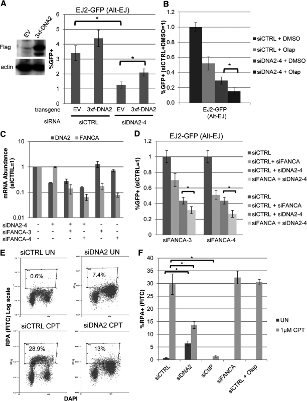 DNA2 has distinct effects on Alt-EJ and end resection, compared to FANCA and PARP.