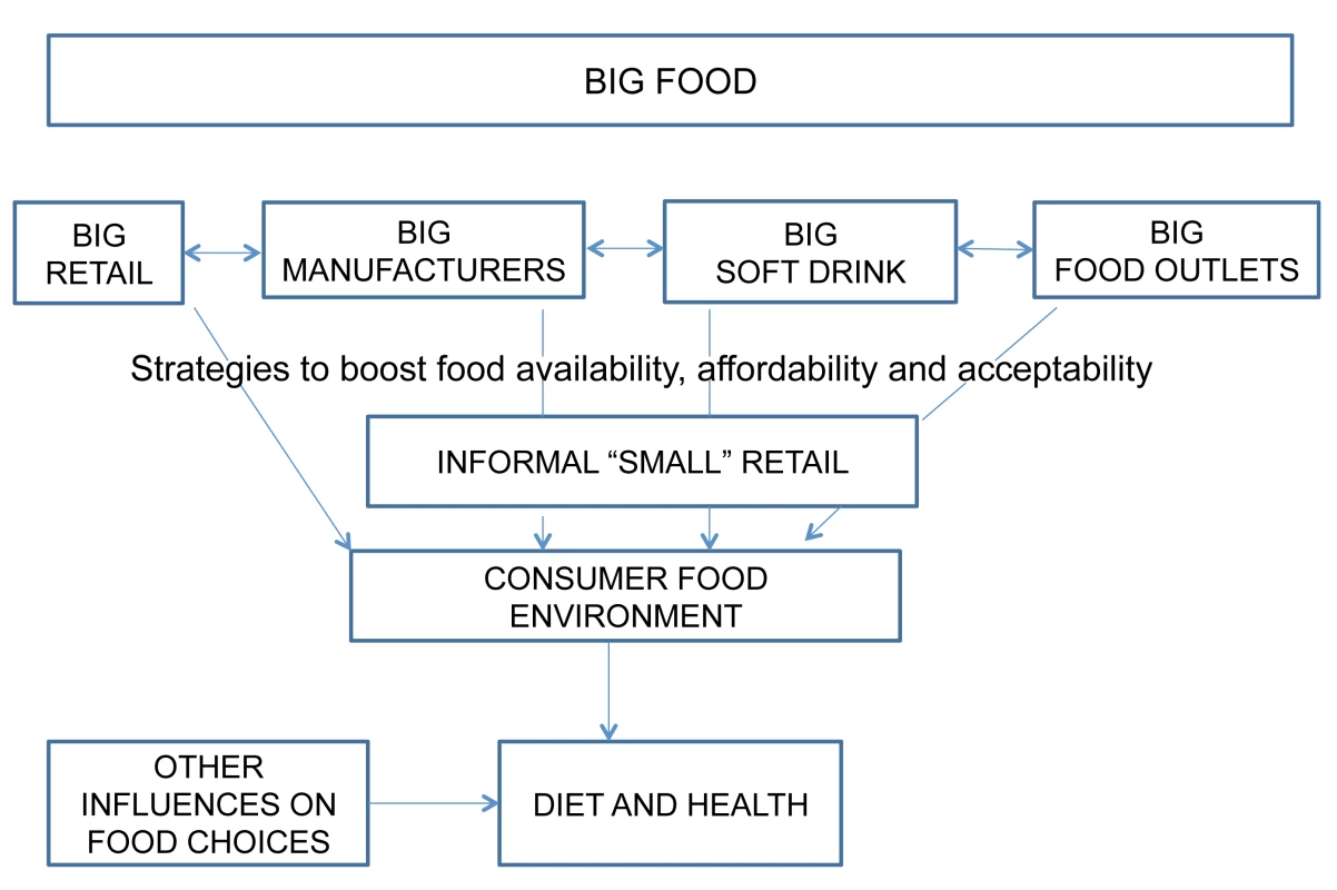 Hypothesized link between Big Food and the consumer food environment.
