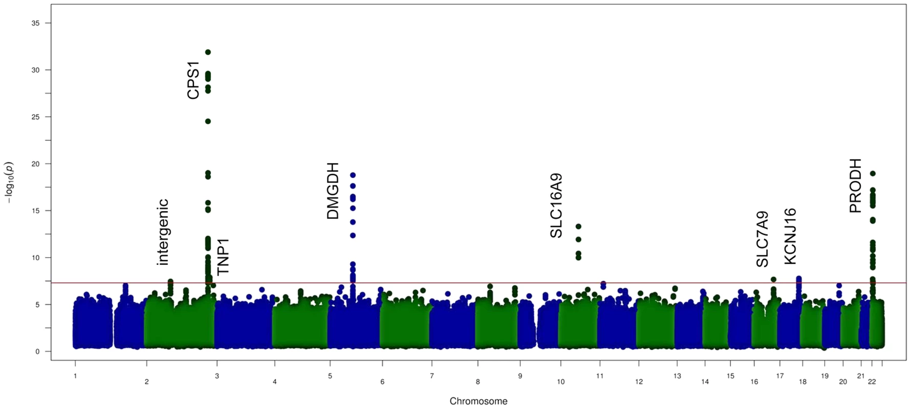 GWAS results of the NMR metabolites.