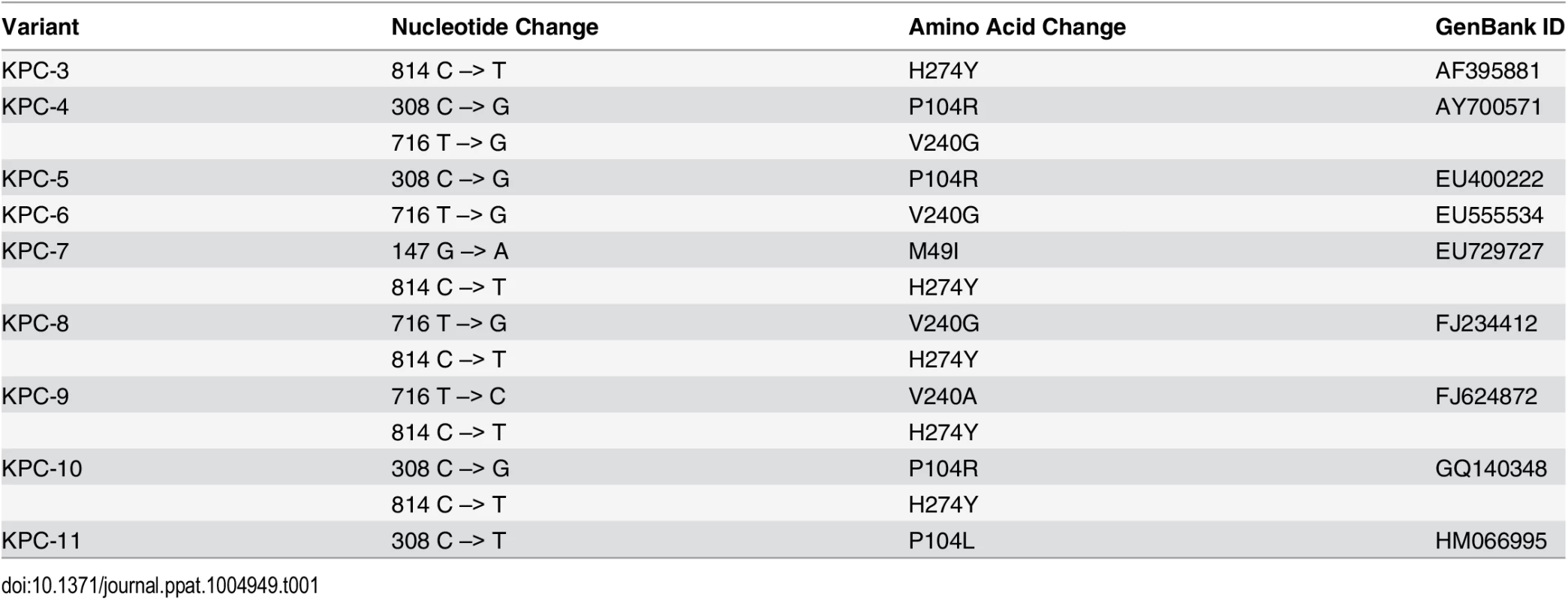 Nucleotide polymorphisms and amino acid changes in variants as compared to KPC-2.