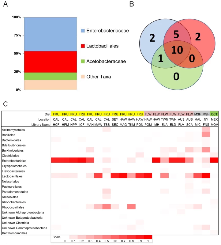 Composition and distribution of dominant bacterial taxa within 20 natural populations of <i>Drosophila</i>.
