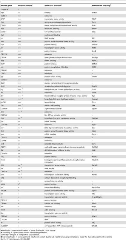 List of mutant Drosophila genes isolated in the floatation screen.
