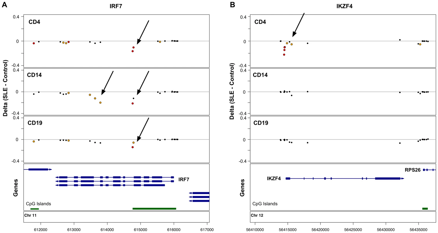 Common and cell type-specific DNA methylation changes in SLE.