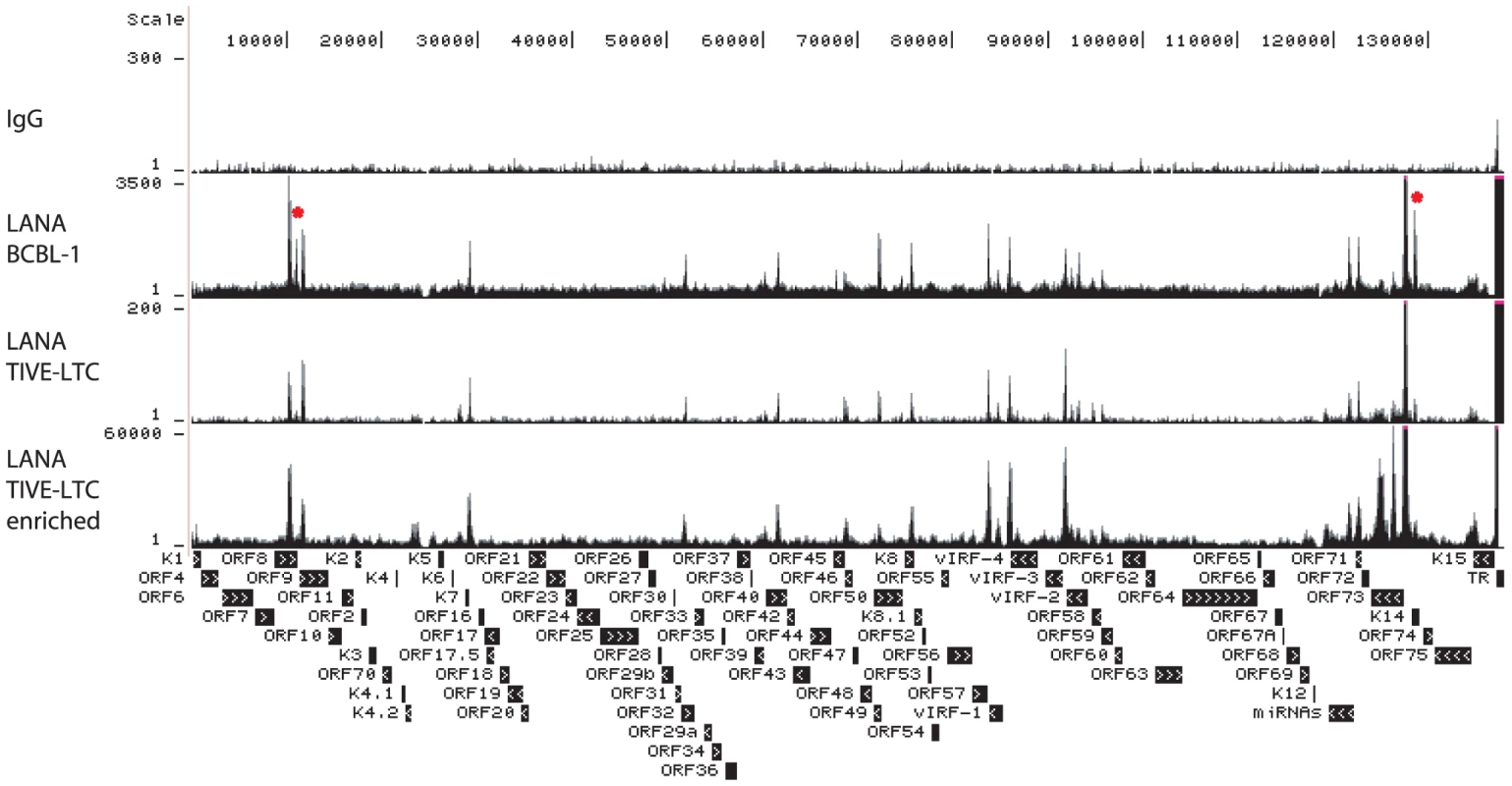 UCSC Genome Browser view of LANA binding on the KSHV genome.