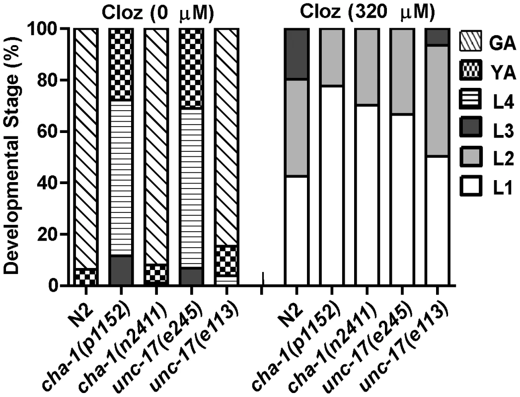 Ach release was not the mechanism of clozapine-induced larval arrest.