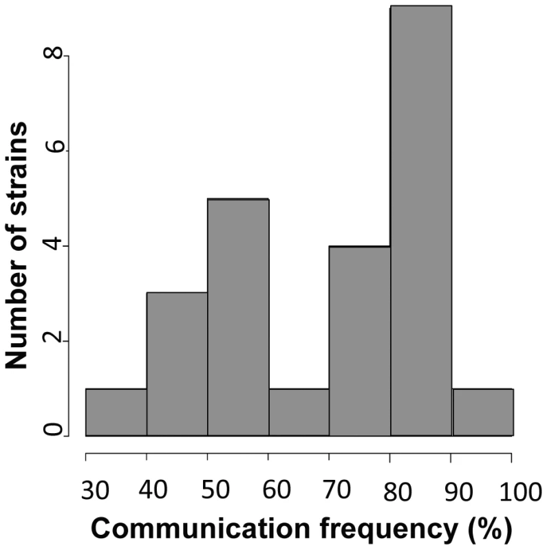 Germling communication frequency varies among wild <i>N. crassa</i> isolates from a single population in Louisiana.