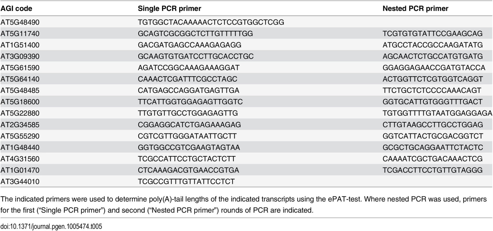 Primers used for ePAT assay.