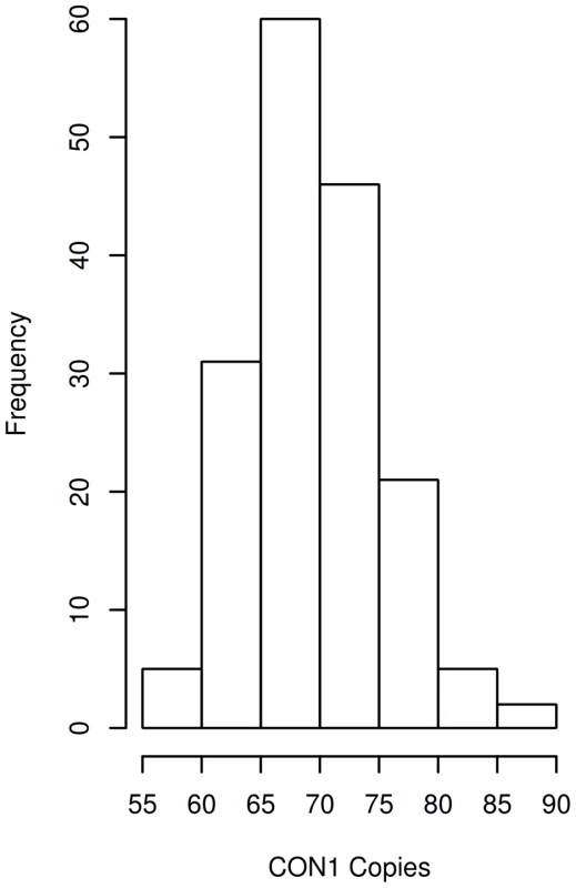 DUF1220 CON1 copy number distribution in individuals with ASD.