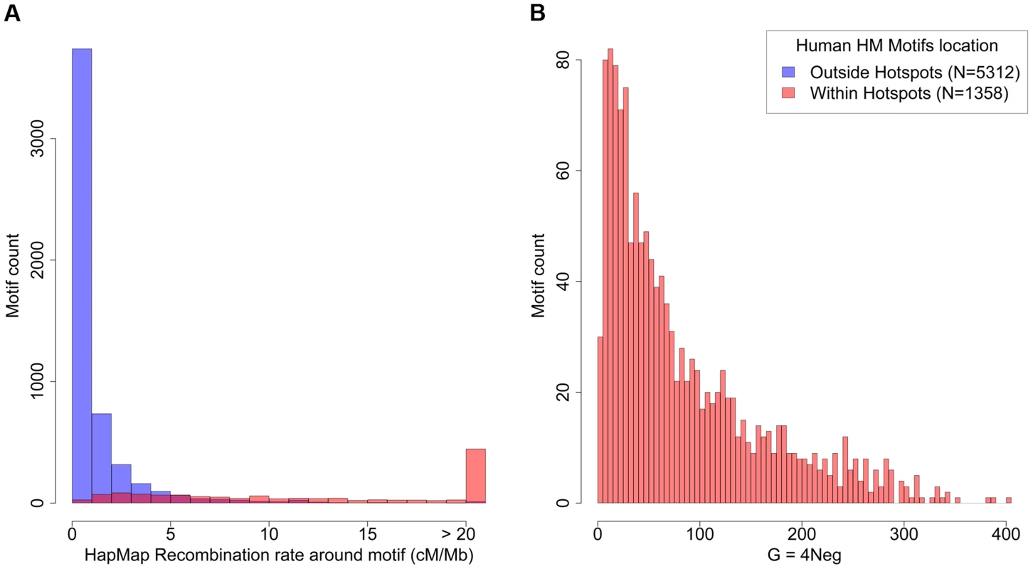 Recombination rates and strength of dBGC on HM motifs in the human genome.