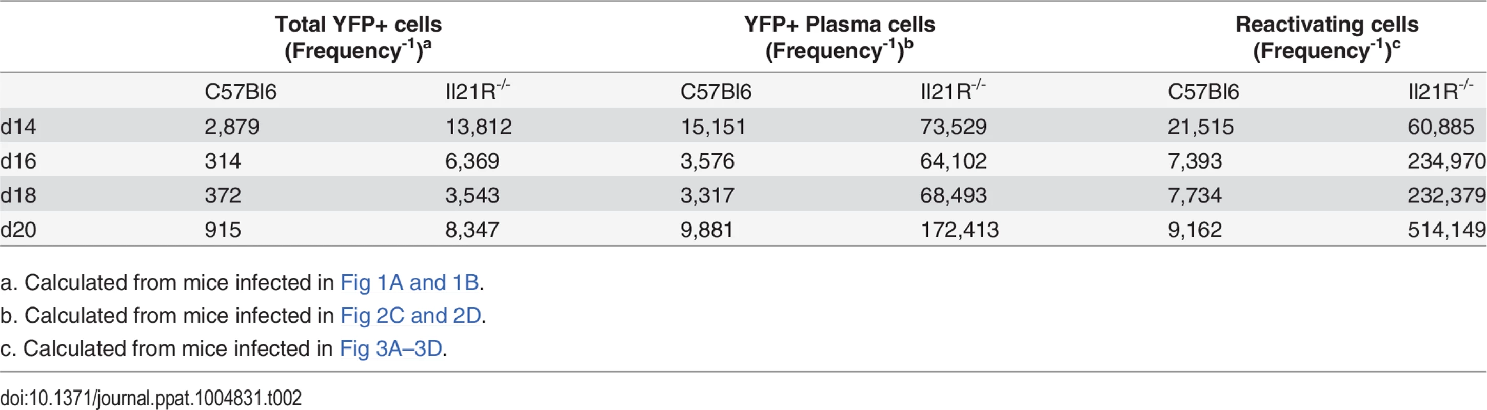 Correlation between infected plasma cells and reactivating cells.