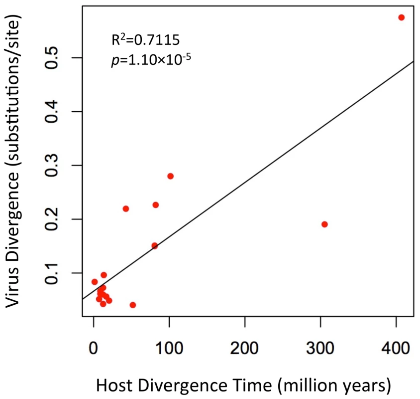 A plot of the correlation between foamy virus divergence and their vertebrate hosts' divergence times.