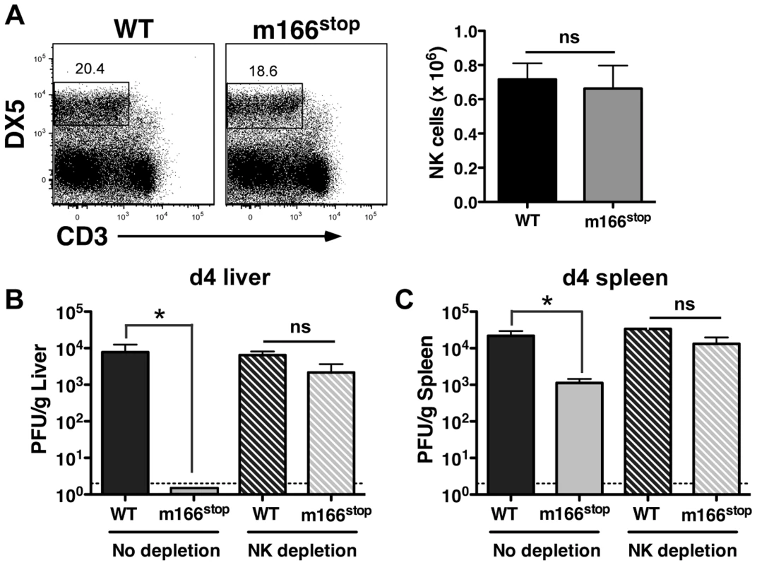 m166 inhibition of TRAIL-DR subverts NK cell antiviral defenses.
