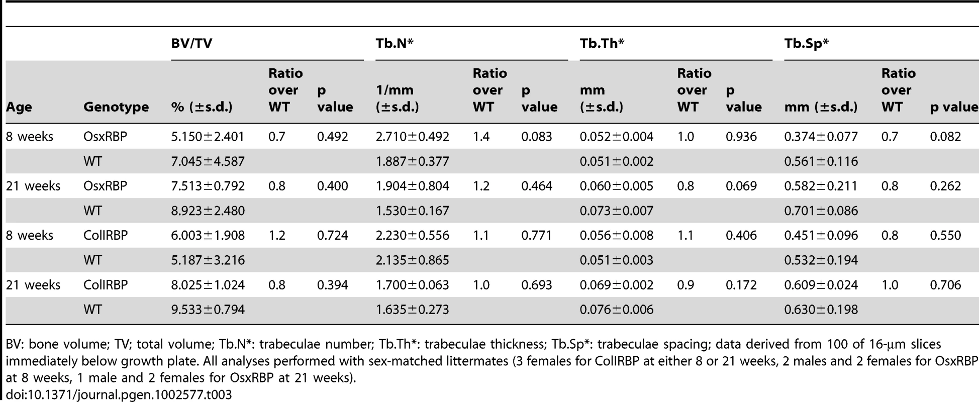 μCT analyses of OsxRBP and ColIRBP at 8 and 21 weeks of age.