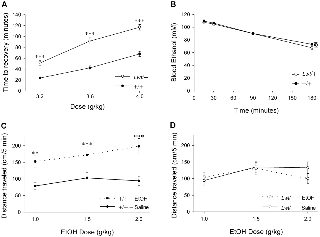 Alterations in acute responses to ethanol in <i>Lwt</i>/+ congenic mice.