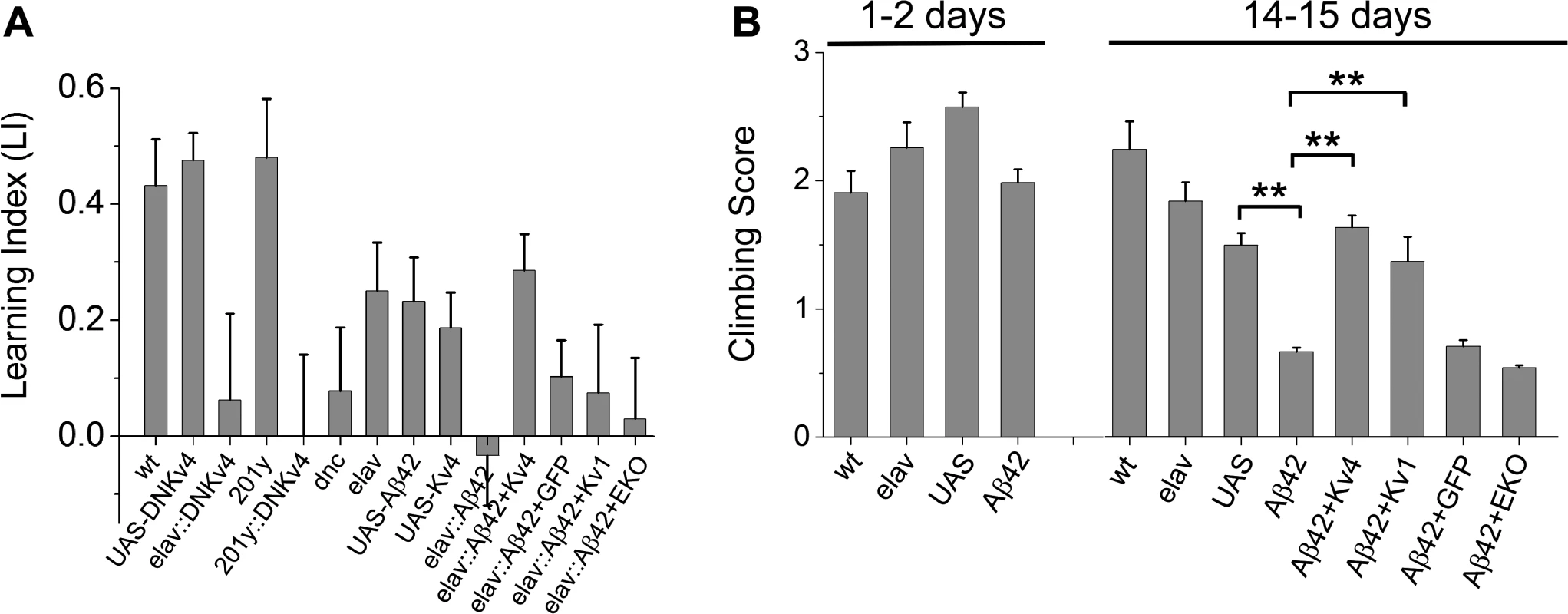 Larval olfactory associative learning and locomotion is defective in Aβ42-expressing larvae, and rescued by K<sub>v</sub>4.