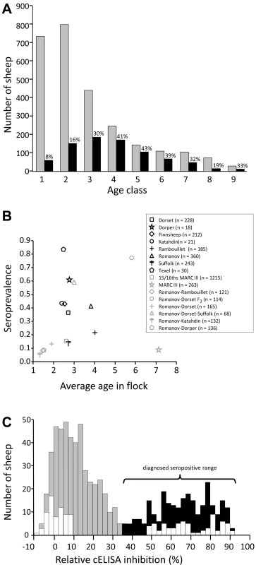 Seroprevalence of OPP in a research flock in 2003.
