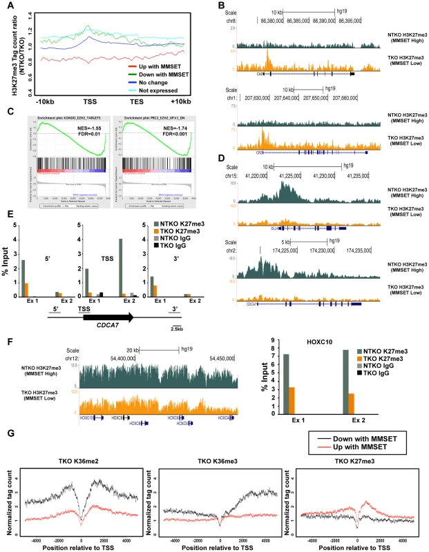 MMSET alters genome-wide patterns of H3K27me3 methylation.