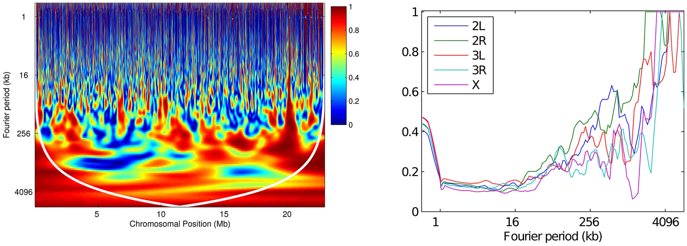 Wavelet coherence analysis comparing RAL against RG.