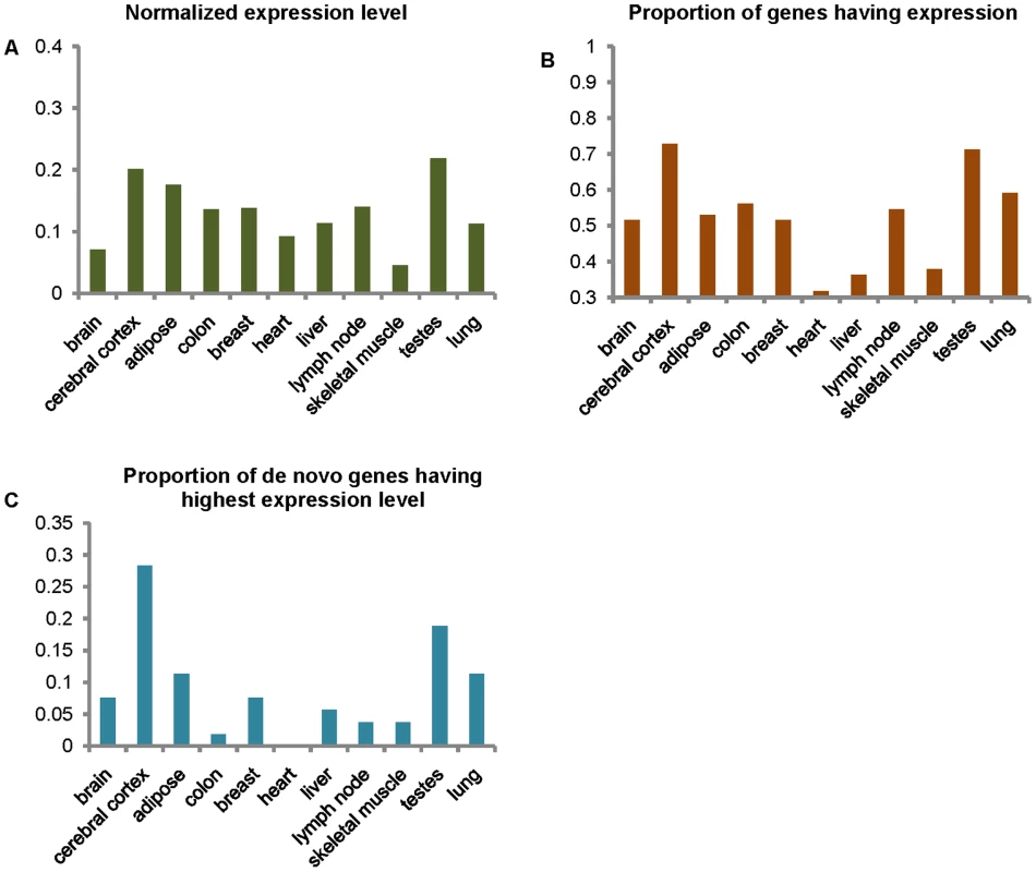 Levels of expression of de novo genes in 11 tissues.