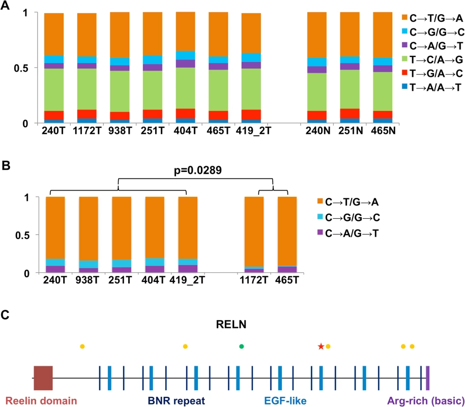 RNA-seq analysis reveals dog-human homology in sequence mutations.